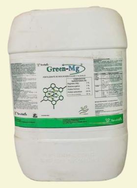GREEN-MG